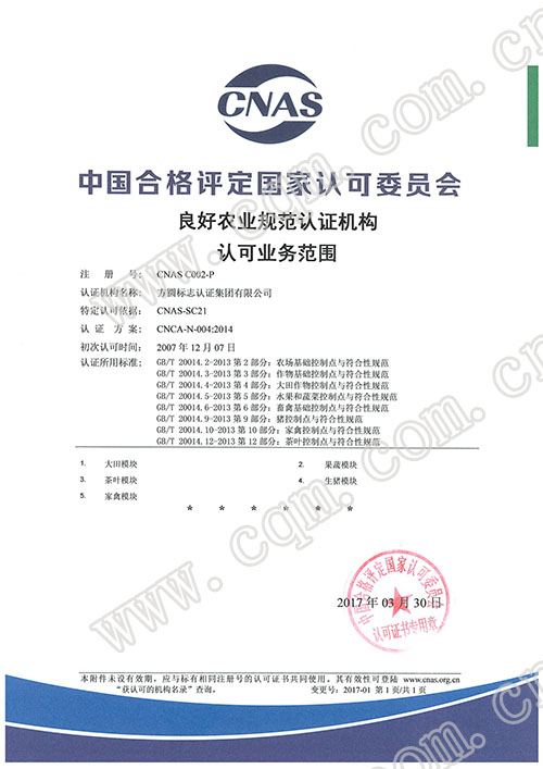 认证业务范围（中文）